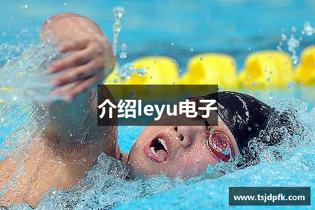介绍leyu电子
